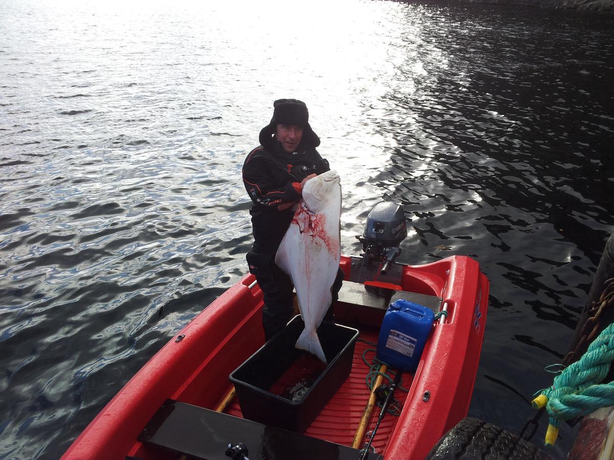 Jarfjord Arctic Aurora Lodge Karpbukt Eksteriør billede