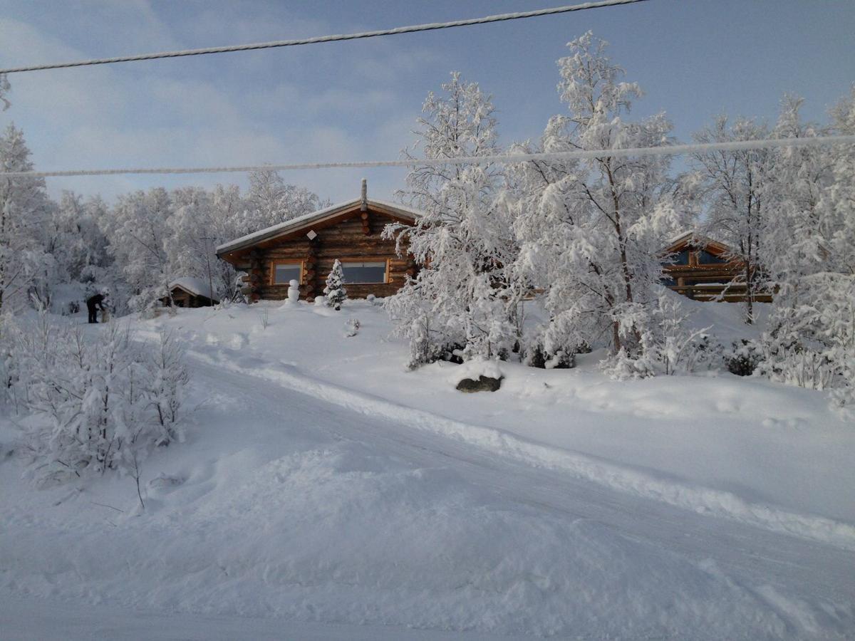 Jarfjord Arctic Aurora Lodge Karpbukt Eksteriør billede